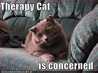 funny-pictures-therapy-ca-5.jpeg